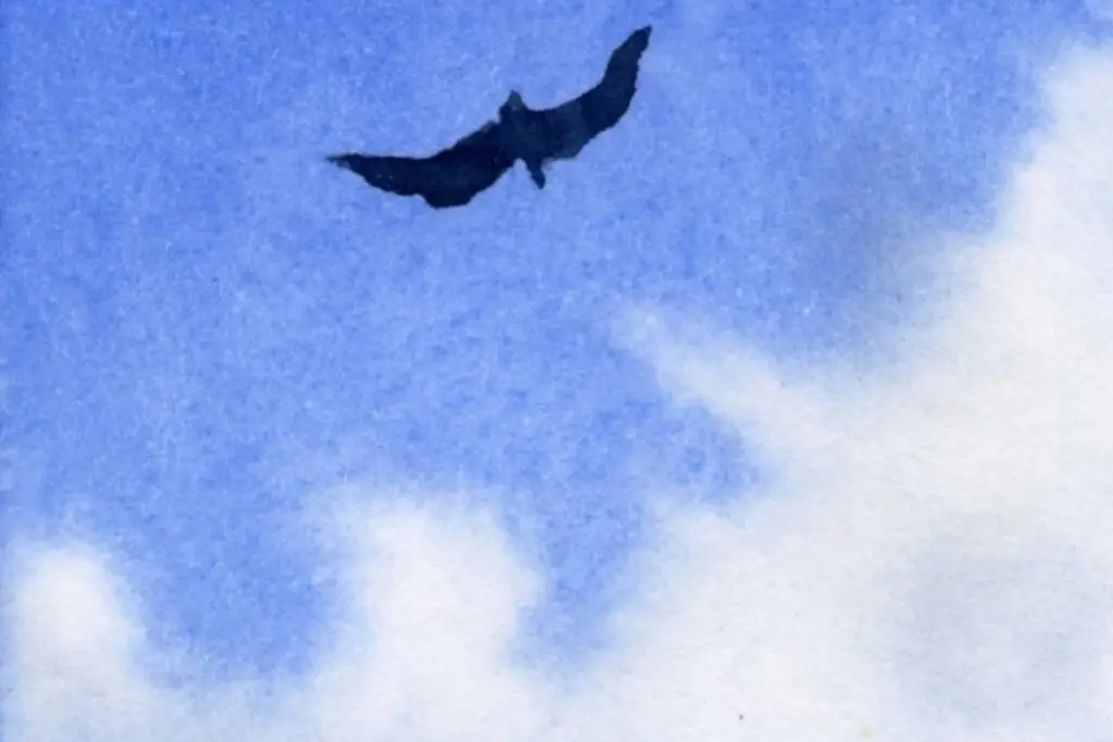 From Sunrise to Starlight Watercolour Skies Art Workshop by Studio Artinject Summer Sky Painting by Shimona Ghosh Learn Painting with Watercolors